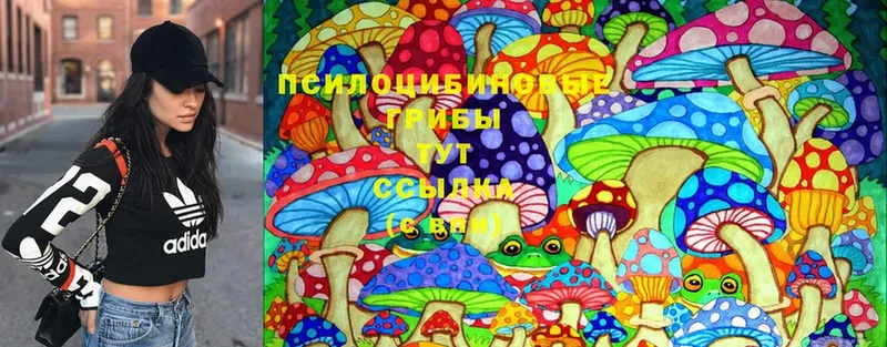 Галлюциногенные грибы MAGIC MUSHROOMS  ссылка на мегу ТОР  Бежецк 